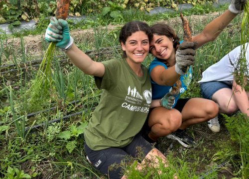 Luglio 2024, Campus solidale nella Casa NPH in Honduras